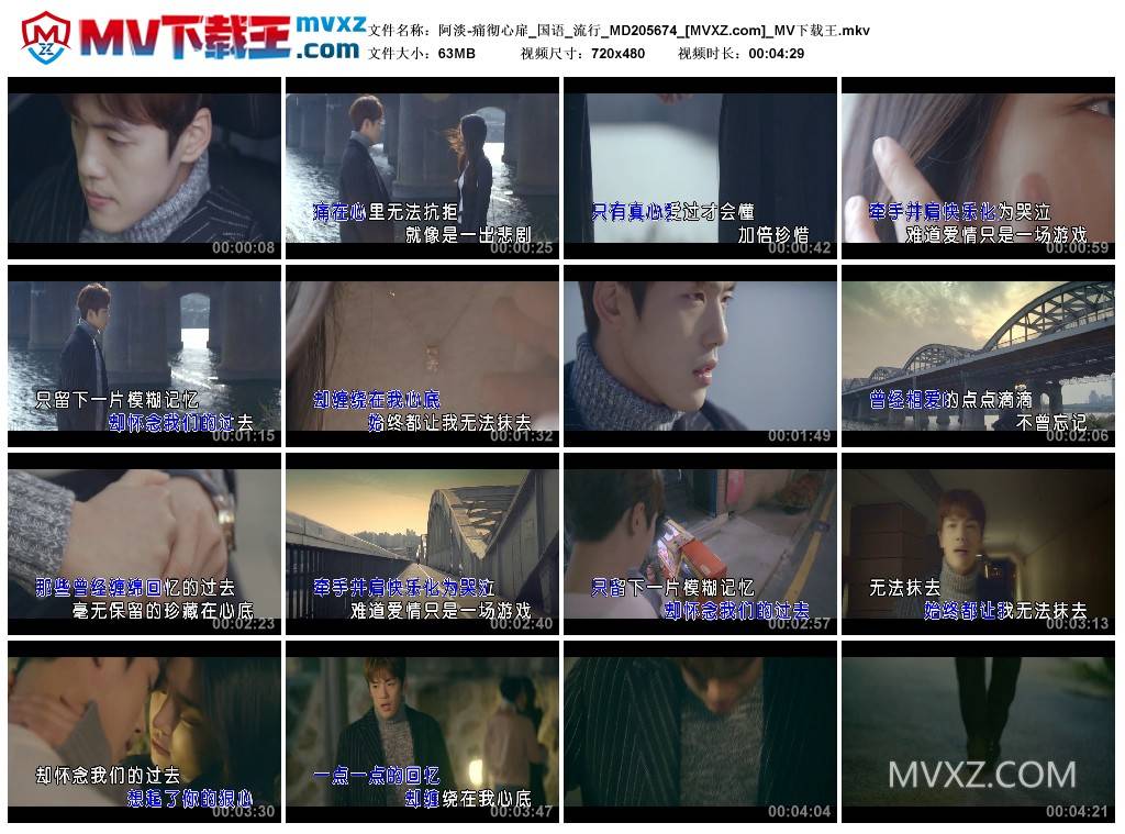 阿淡-痛彻心扉_国语_流行_MD205674